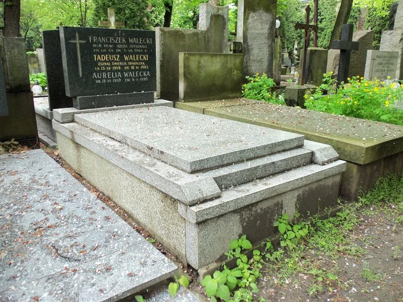 Zdjęcie grobu Tadeusz Walecki (1)