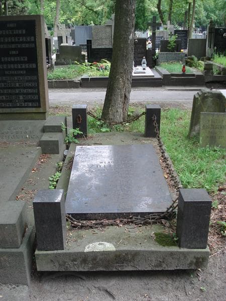 Zdjęcie grobu: Władysław Żółciński