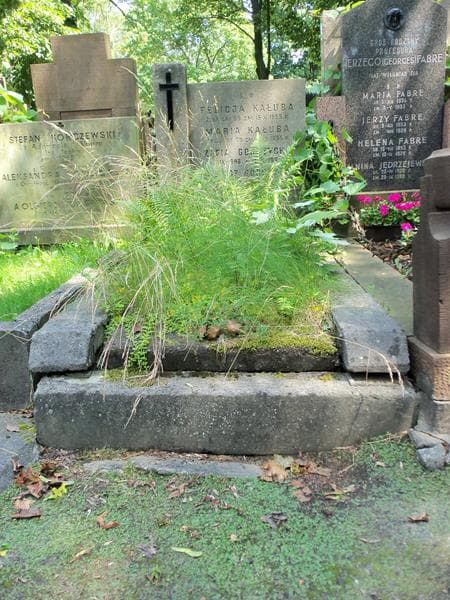 Zdjęcie grobu: Zofia Gorczycka