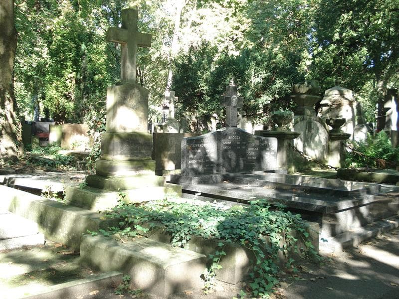Zdjęcie grobu Michalina Buttowt-Andrzeykowiczówna (1)