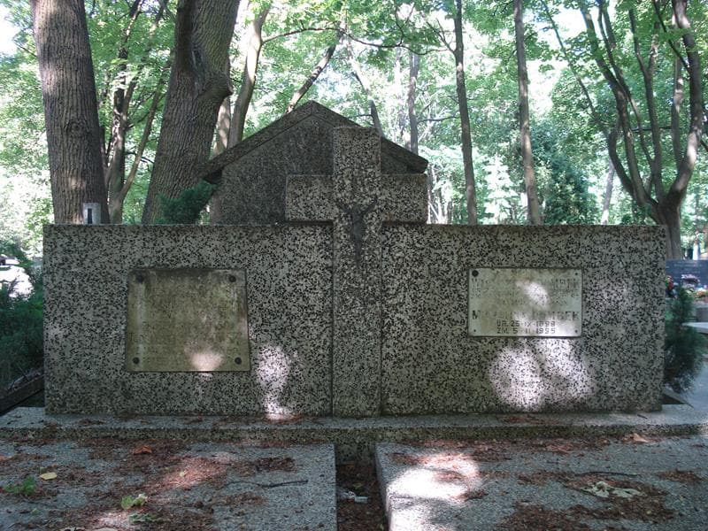 Zdjęcie grobu Michalina Dombek (1)