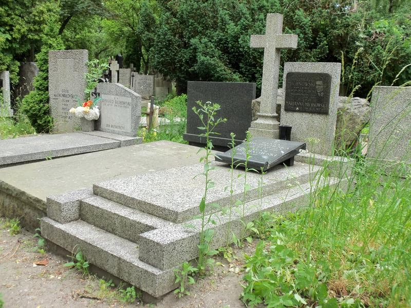 Zdjęcie grobu Kazimierz Michnowski (1)