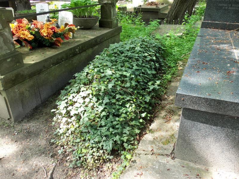 Zdjęcie grobu Aleksander Brujkowski (1)