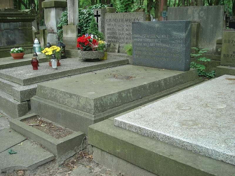 Zdjęcie grobu Aleksander Dyżewski (1)