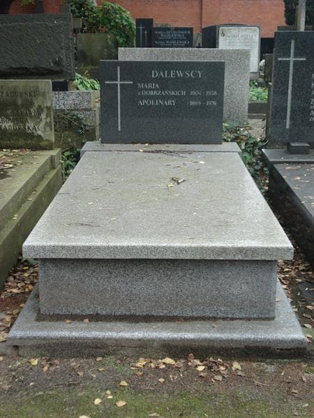 Zdjęcie grobu: Apolinary Dalewski