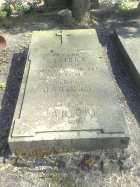 Zdjęcie grobu Antonina Janicka (1)