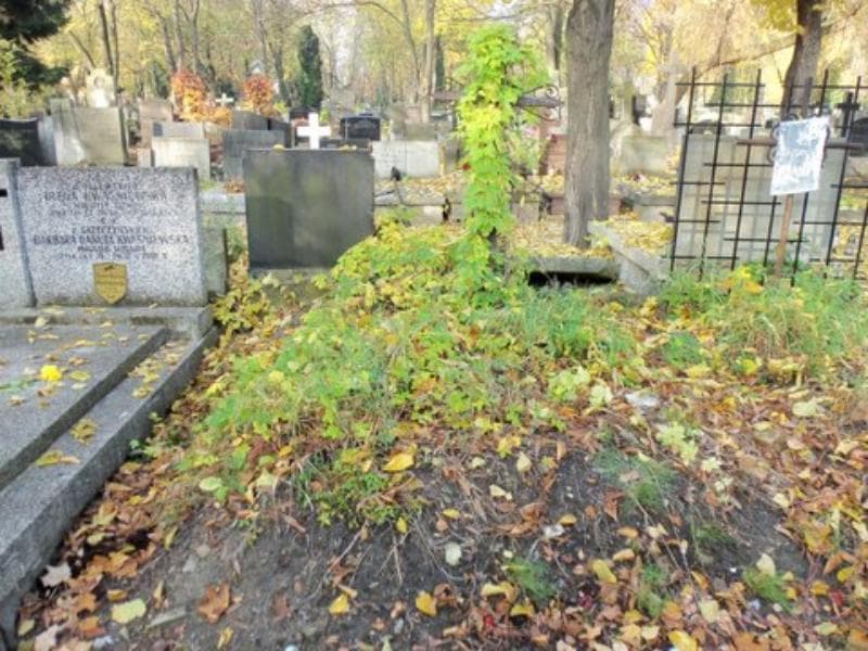 Zdjęcie grobu: Anonim