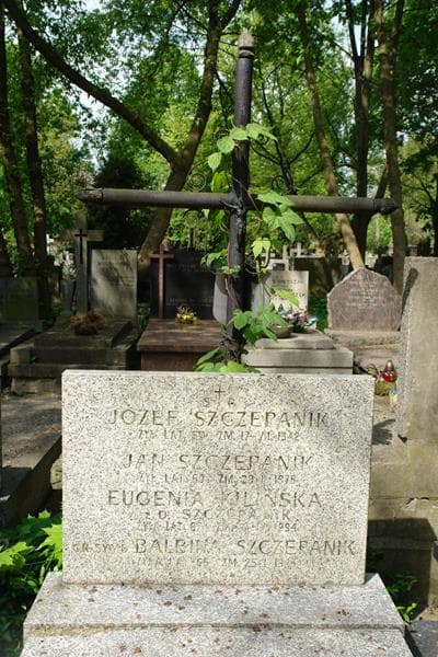 Zdjęcie grobu Józef Szczepanik (2)