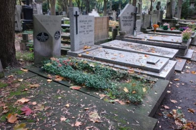 Zdjęcie grobu Zofia Chudzynska (1)
