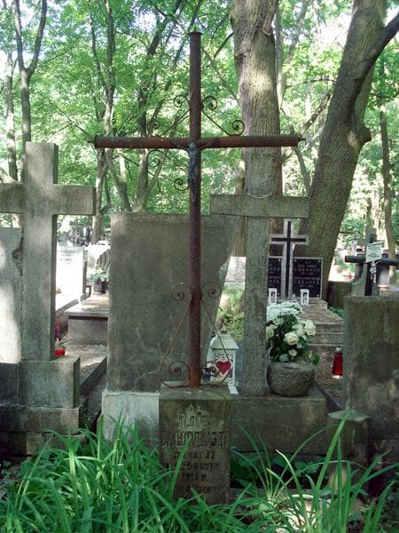 Zdjęcie grobu Alojzy Zachwejski (1)