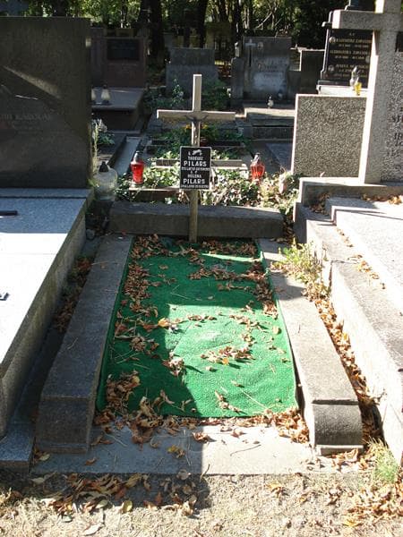 Zdjęcie grobu Tadeusz Pilars (1)