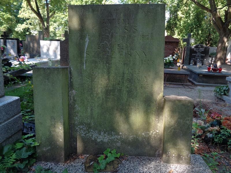 Zdjęcie grobu Antoni V. Goss (2)