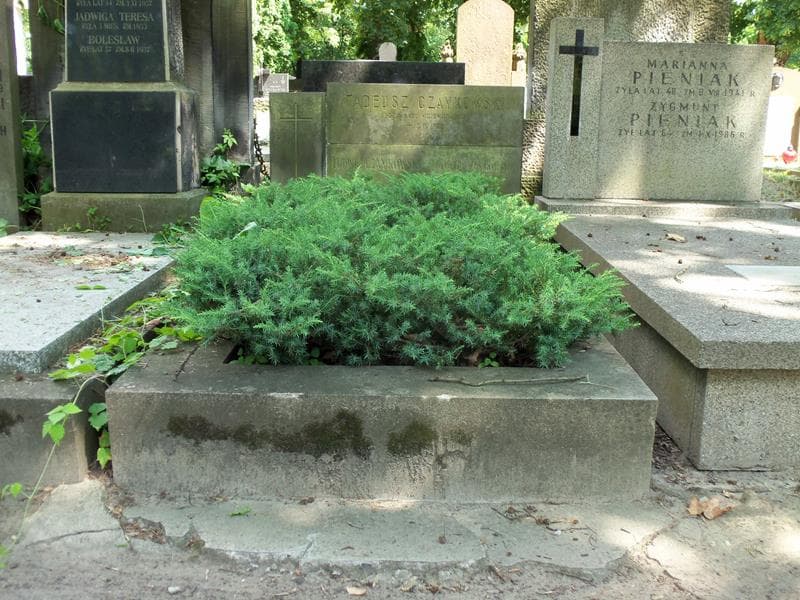 Zdjęcie grobu: Tadeusz Czaykowski