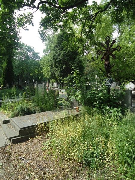 Zdjęcie grobu Wilhelm Lisewski (1)