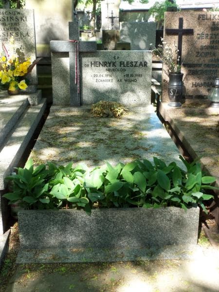 Zdjęcie grobu: Henryk Fleszar