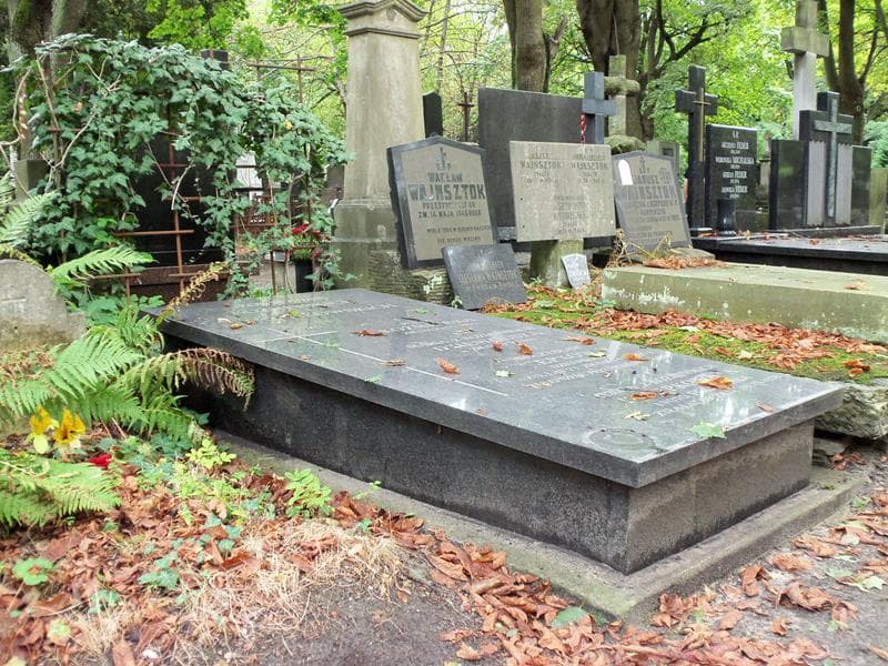 Zdjęcie grobu Mieczysław Krzepkowski (1)