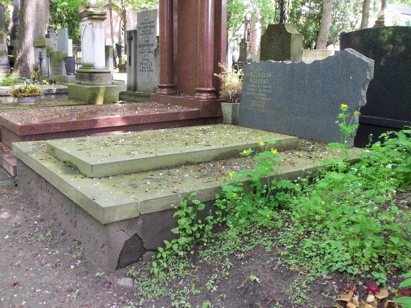 Zdjęcie grobu Mieczysław Walecki (1)