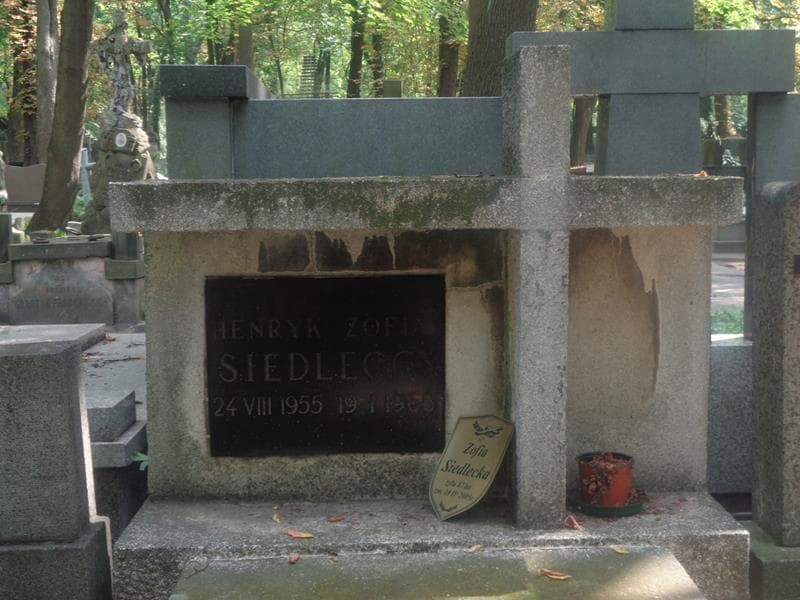 Zdjęcie grobu Henryk Siedlecki (2)