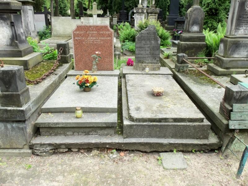 Zdjęcie grobu: Ludwik Odrowąż - Wilkoński