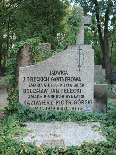 Zdjęcie grobu Halina Górska (2)