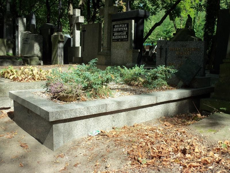 Zdjęcie grobu Zofia Lesiewiczowa (1)