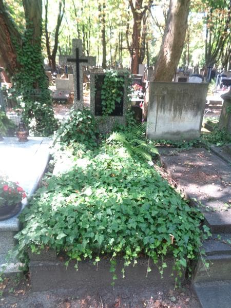 Zdjęcie grobu Zofia Sławińska (1)