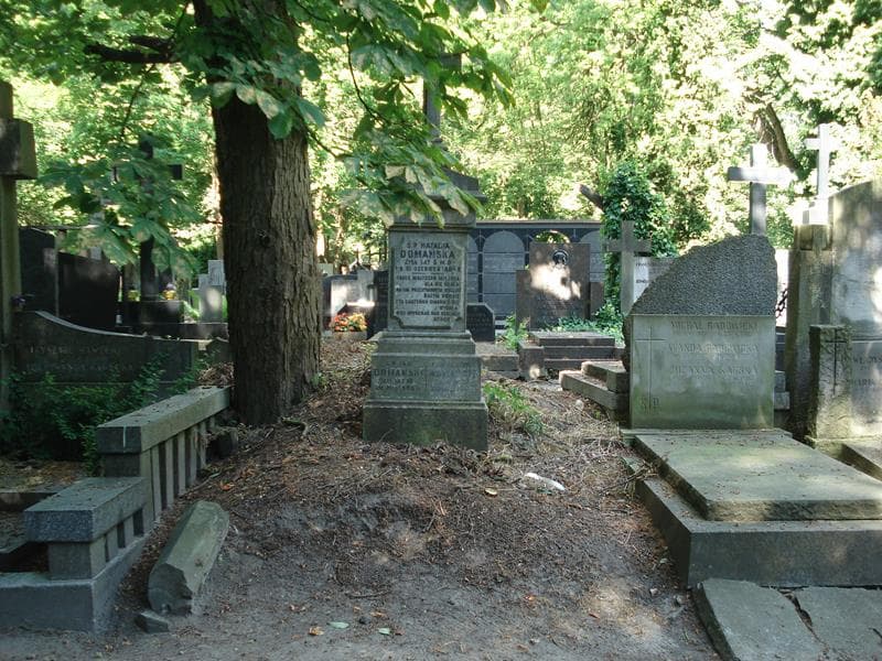 Zdjęcie grobu: Jan Domański