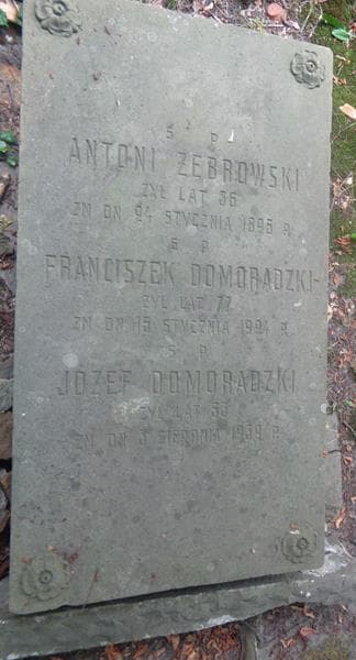 Zdjęcie grobu Józef Domoradzki (2)