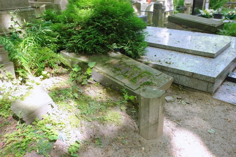 Zdjęcie grobu Teodor Jaworski (2)