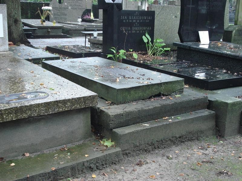 Zdjęcie grobu Stanisław Marek (1)