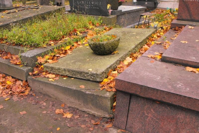 Zdjęcie grobu Zuzanna Dziedzic (1)