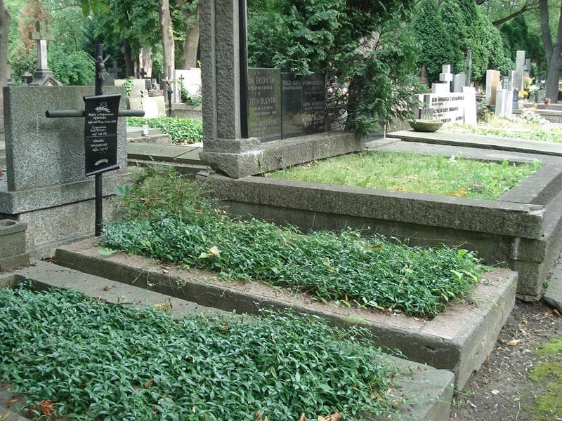 Zdjęcie grobu: Zofia Dębińska