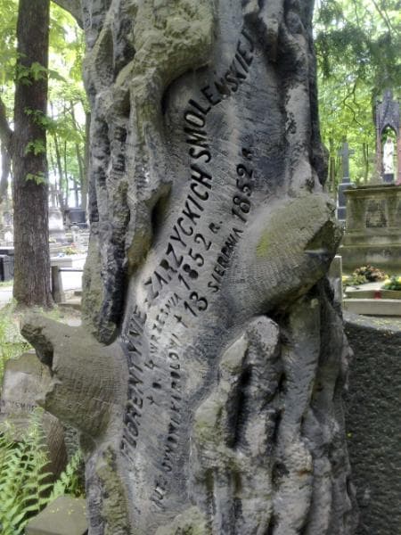 Zdjęcie grobu Helena Trzcińska (1)