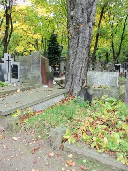 Zdjęcie grobu Anastazja Dobrowolska (1)