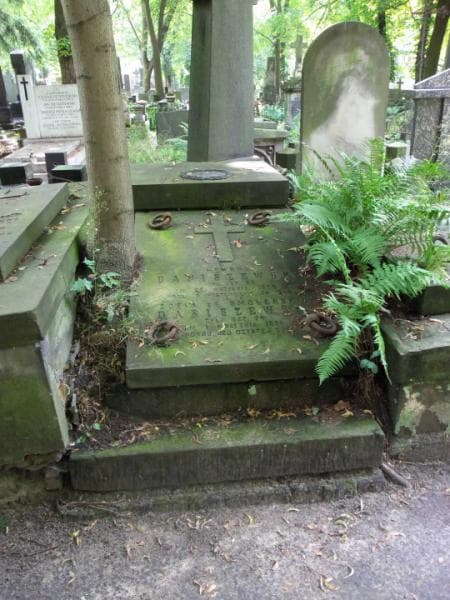 Zdjęcie grobu: Aleksandra Pomiechowska