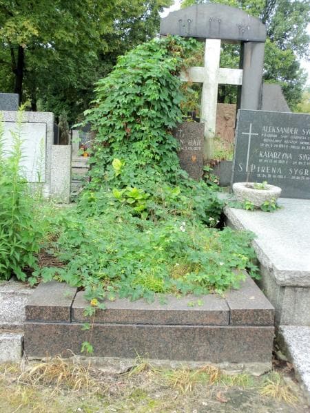 Zdjęcie grobu: Roman Har