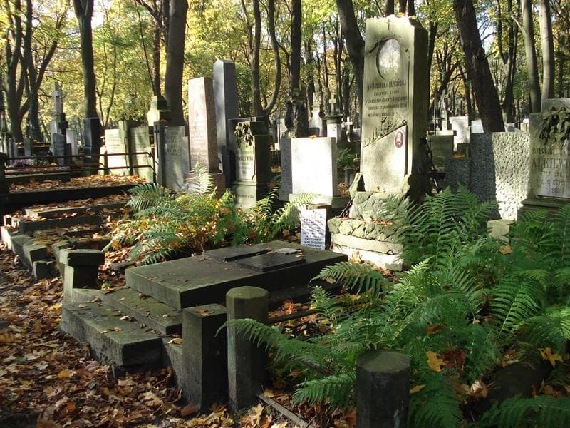 Zdjęcie grobu Stanisław Trzciński (1)