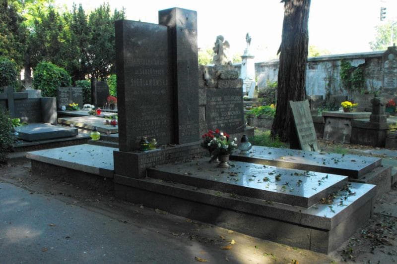 Zdjęcie grobu Hanna Siedlanowska Brzosko (2)