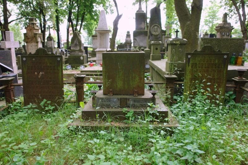 Zdjęcie grobu Karol Wróblewski (2)