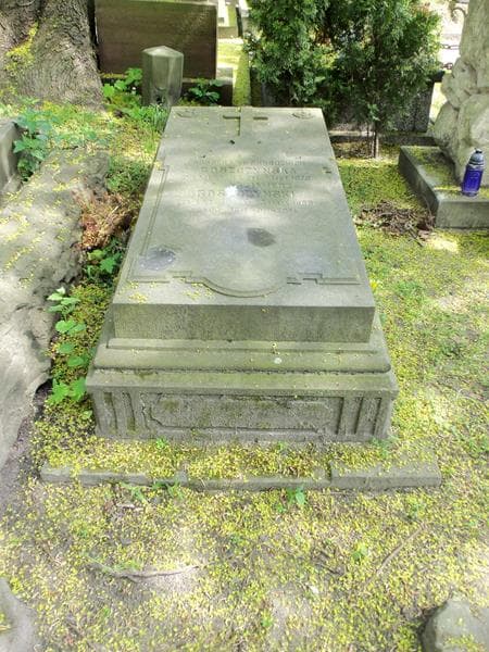 Zdjęcie grobu Kazimierz Goszczyński (2)