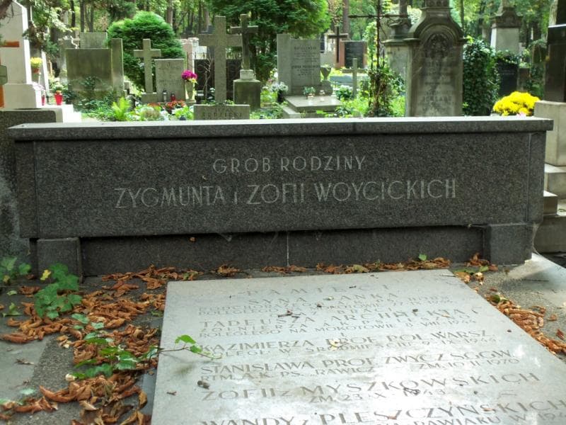 Zdjęcie grobu Stanisław Woycicki (2)