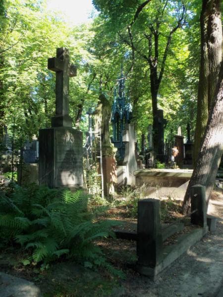 Zdjęcie grobu Marja Wysocka (1)