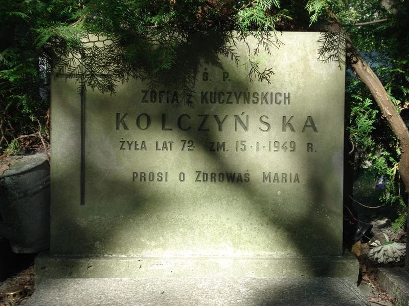 Zdjęcie grobu Waleria Habdank Stpiczyńska (2)