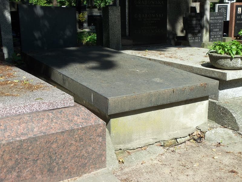 Zdjęcie grobu Władysław Brzozowski (1)