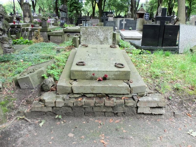 Zdjęcie grobu Buczkowscy (1)
