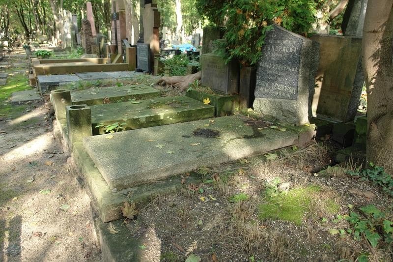 Zdjęcie grobu: Henryk Czyżewski