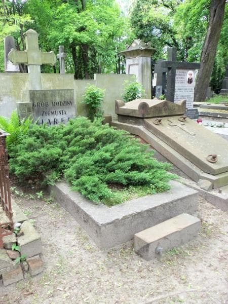 Zdjęcie grobu Zygmunt Ziarek (1)