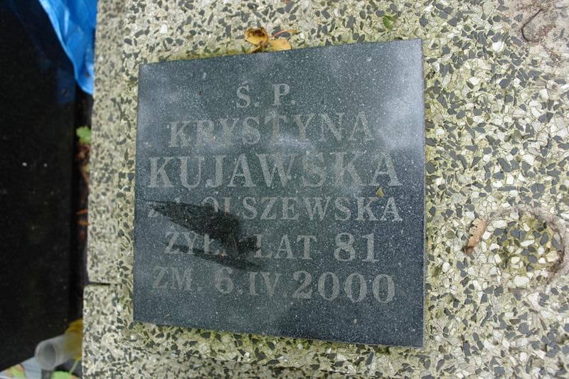 Zdjęcie grobu Michał Kujawski (2)