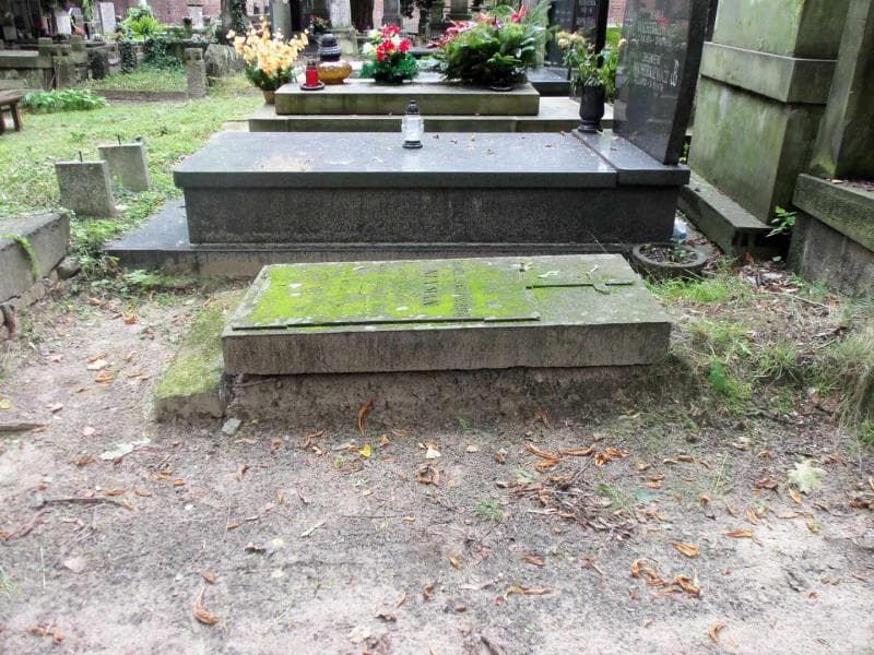 Zdjęcie grobu Salomea Neyman (1)