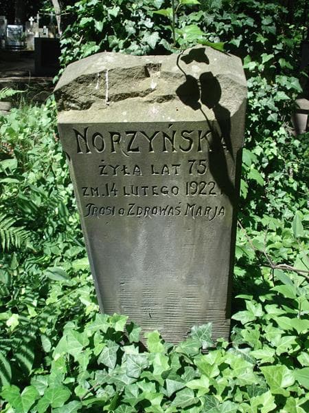 Zdjęcie grobu ... Norzyńska (1)